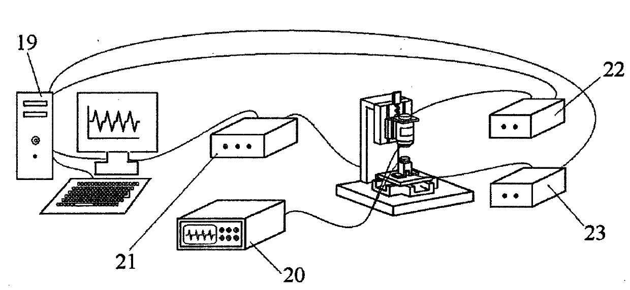 Device and method for testing piezoelectric property of electrostatic spinning PVDF (polyvinylidene fluoride) piezoelectric fiber membrane