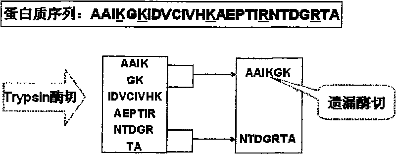 Index acceleration method and corresponding system in scale protein identification