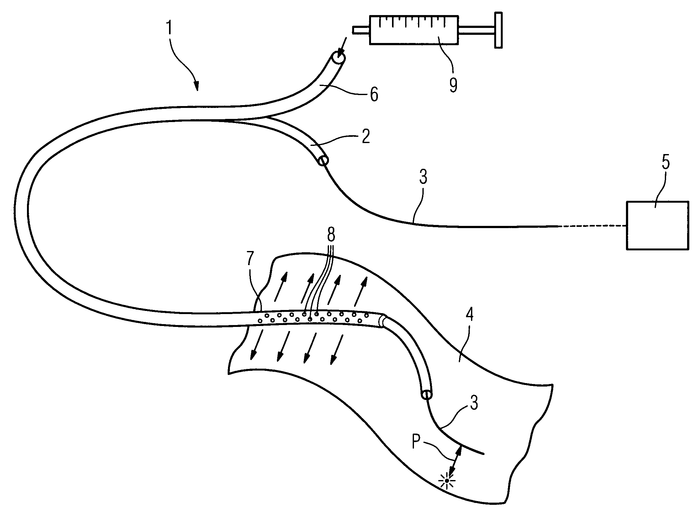 Method of recording two-dimensional images of a perfused blood vessel