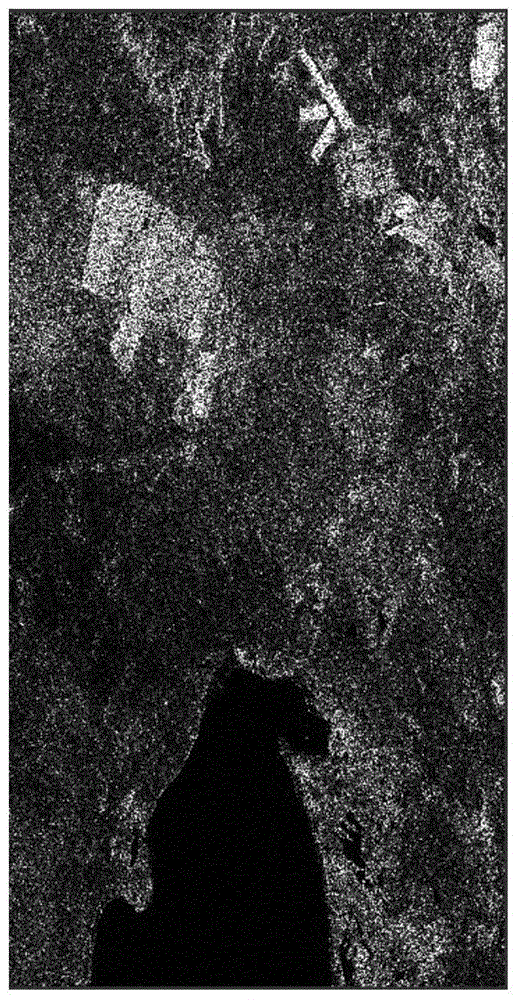 Plant covering information extracting method based on perfect polarization SAR images