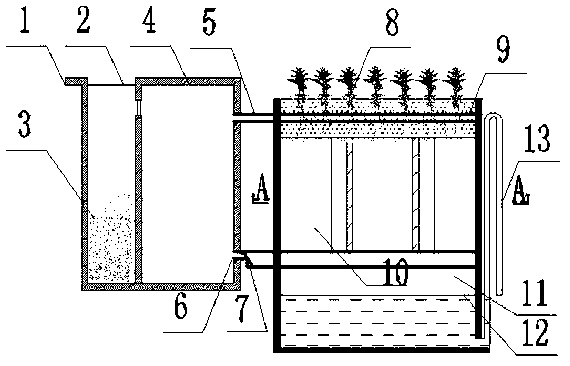 Method and system for treating sewage by using bound strengthened tidal stream artificial wetland