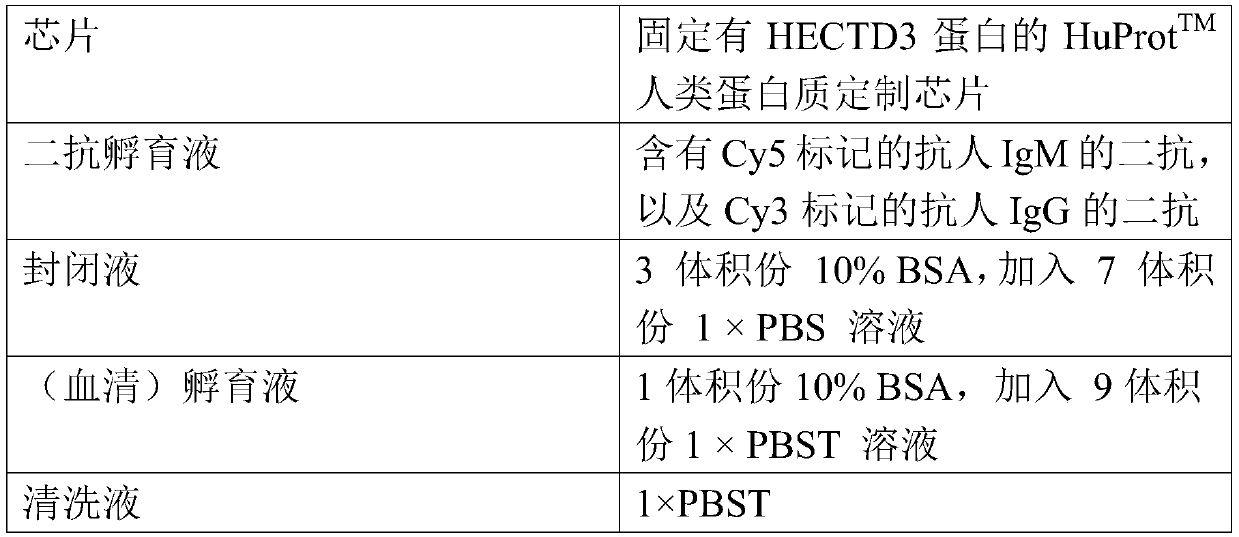 Application of HECTD3 autoantibody detection reagent in preparing lung cancer screening kit