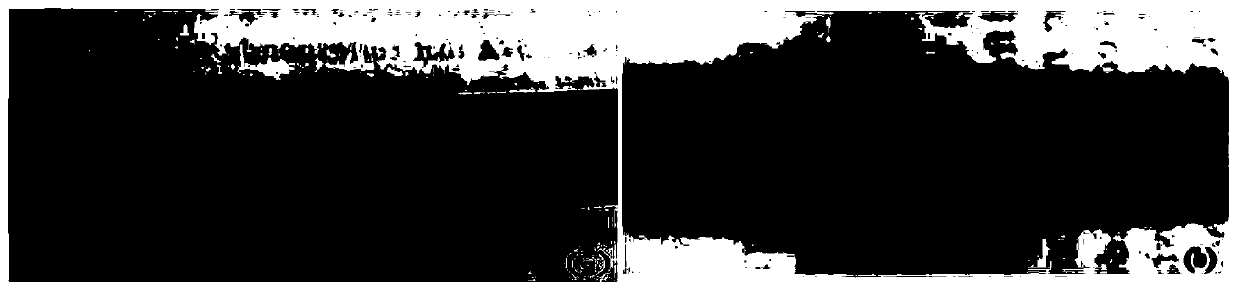 Packaging method of iron-based amorphous alloy strip