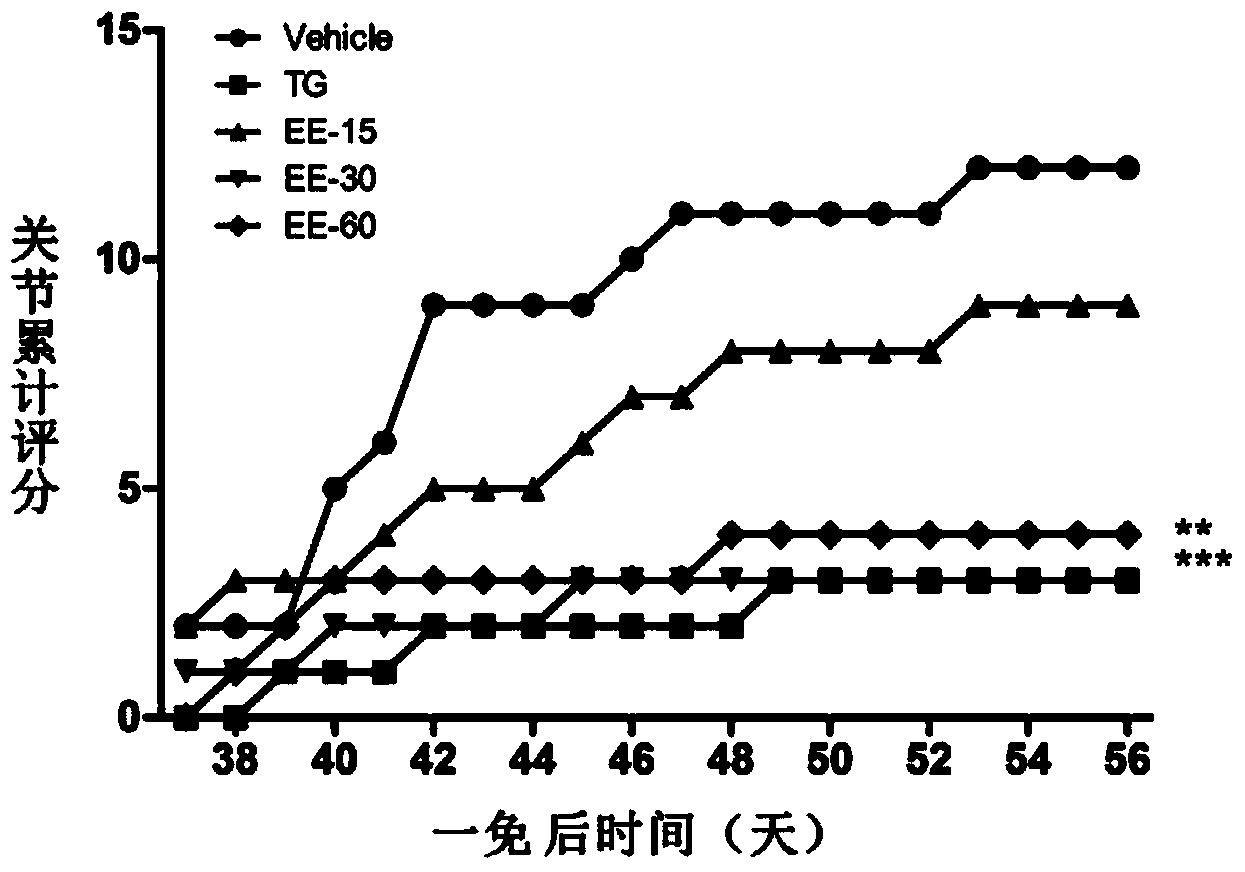 Application of eleutheroside E in preparation of rheumatoid arthritis treating medicine