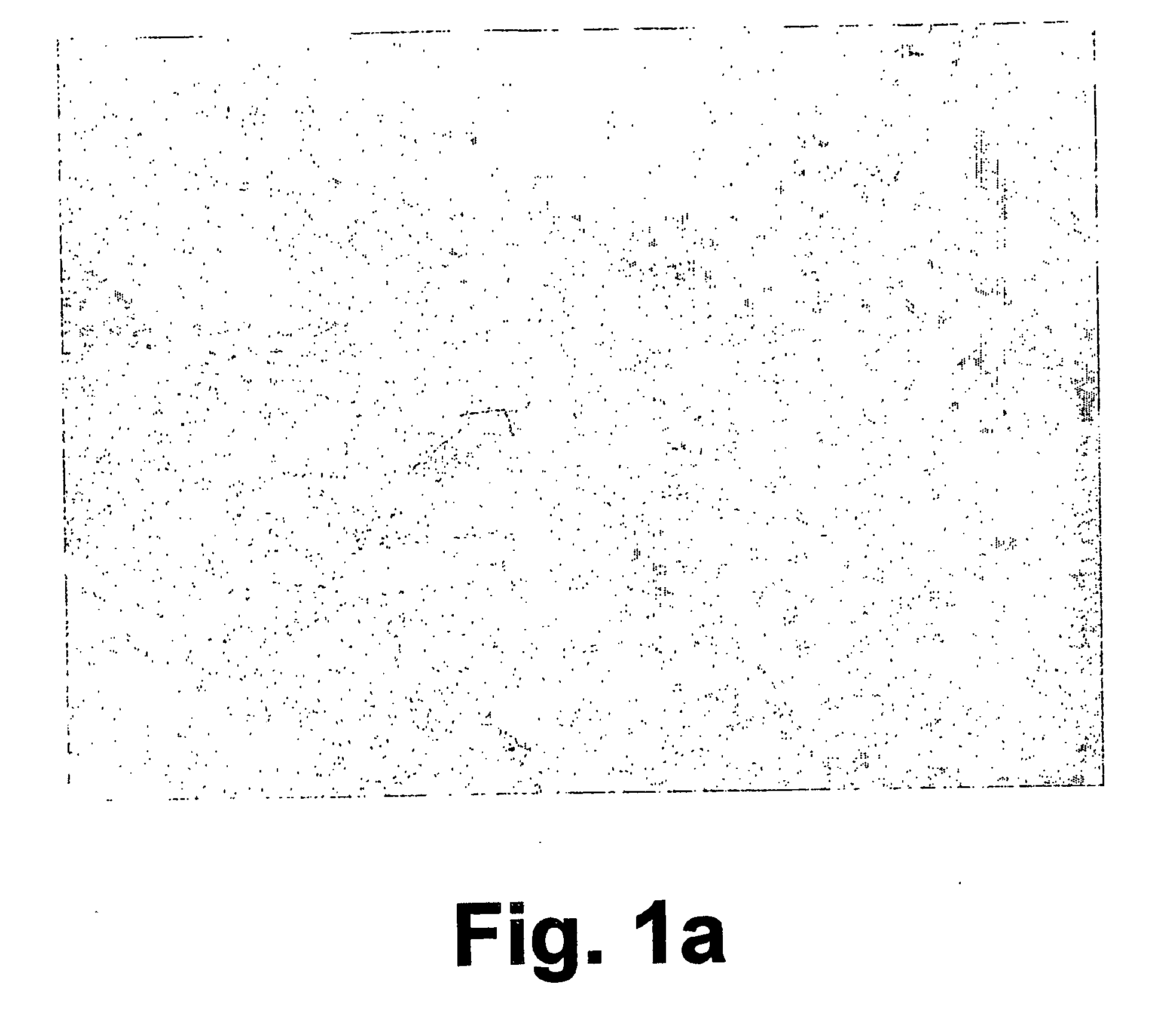 Methods of inducing differentiation in ex vivo expanded stem cells