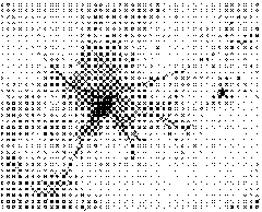 Method for directly inducing and quickly propagating bog bilberry root nodule in test tube