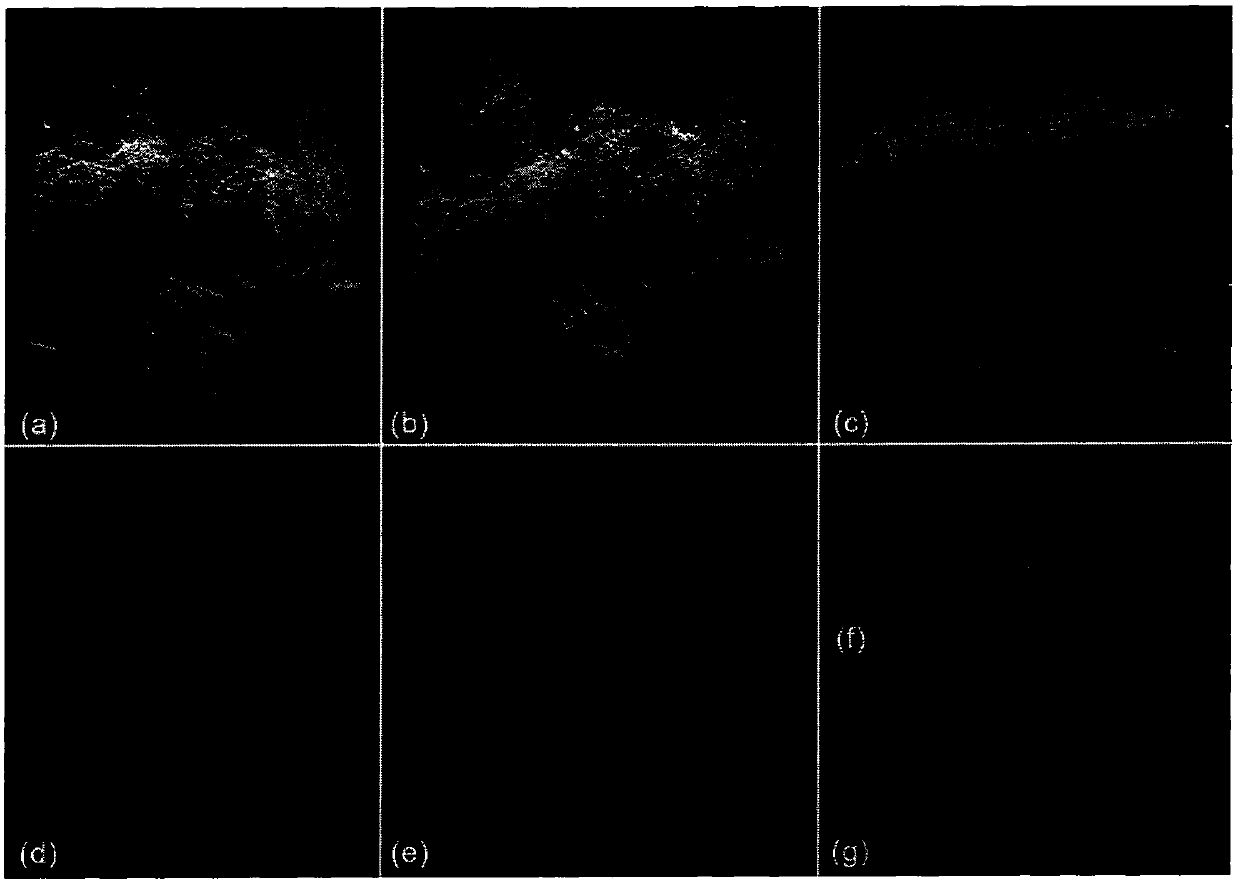 Method for utilizing aviation laser point cloud to calculate effective leaf area index