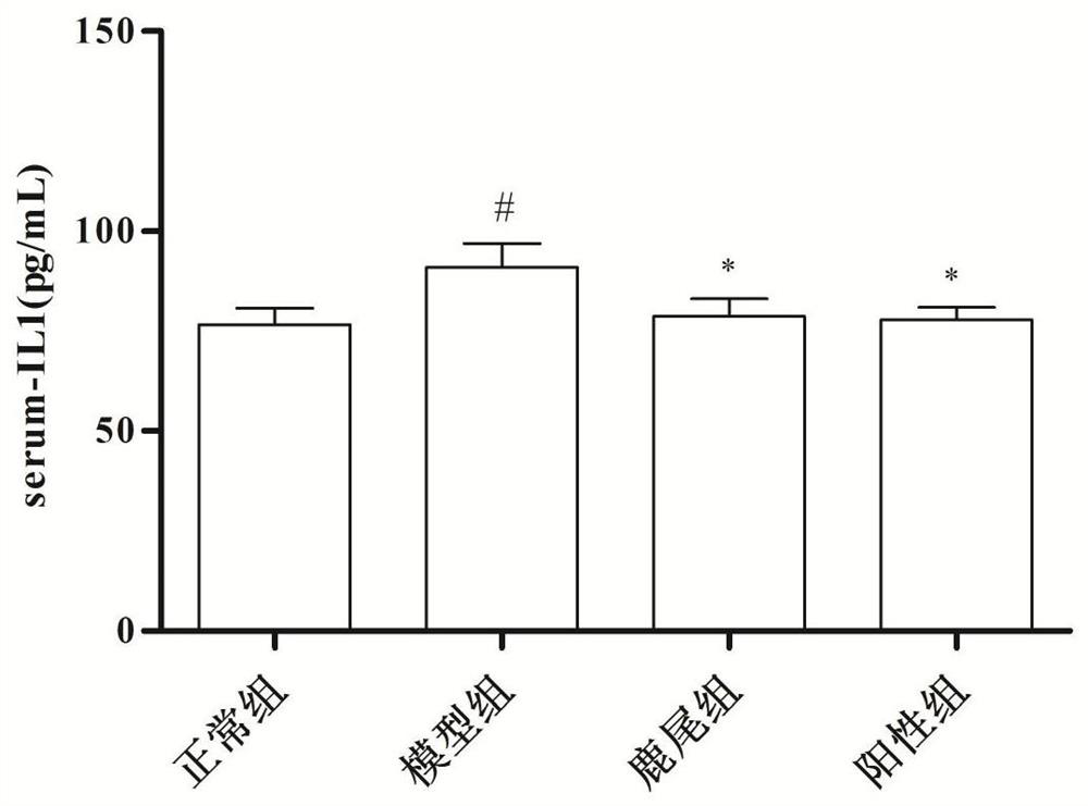 Application of deer tail in preparation of products for treating gout and hyperuricemia