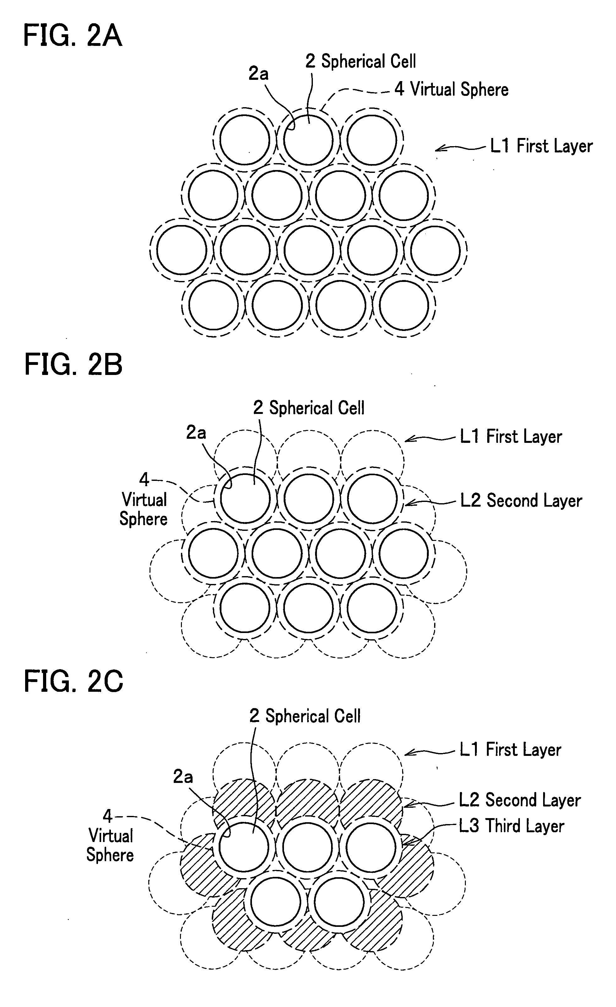 Ceramic molded body and metal matrix composite