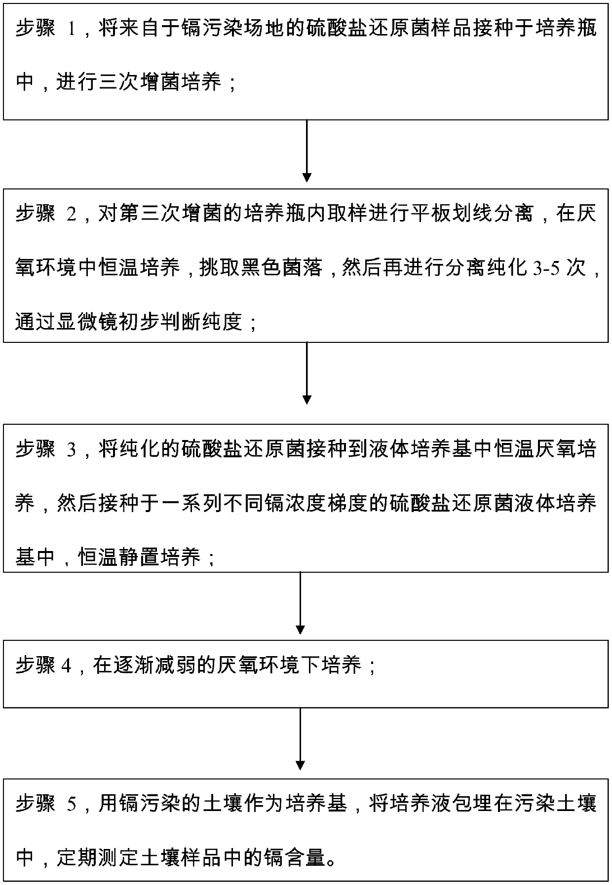 Method for separating high-cadmium-resistance sulfate reducing bacteria