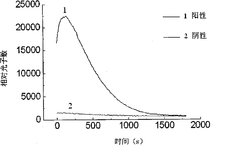 Method for magnetic antibody immunoassay chemiluminescence detection of treponema pallidum antibodies