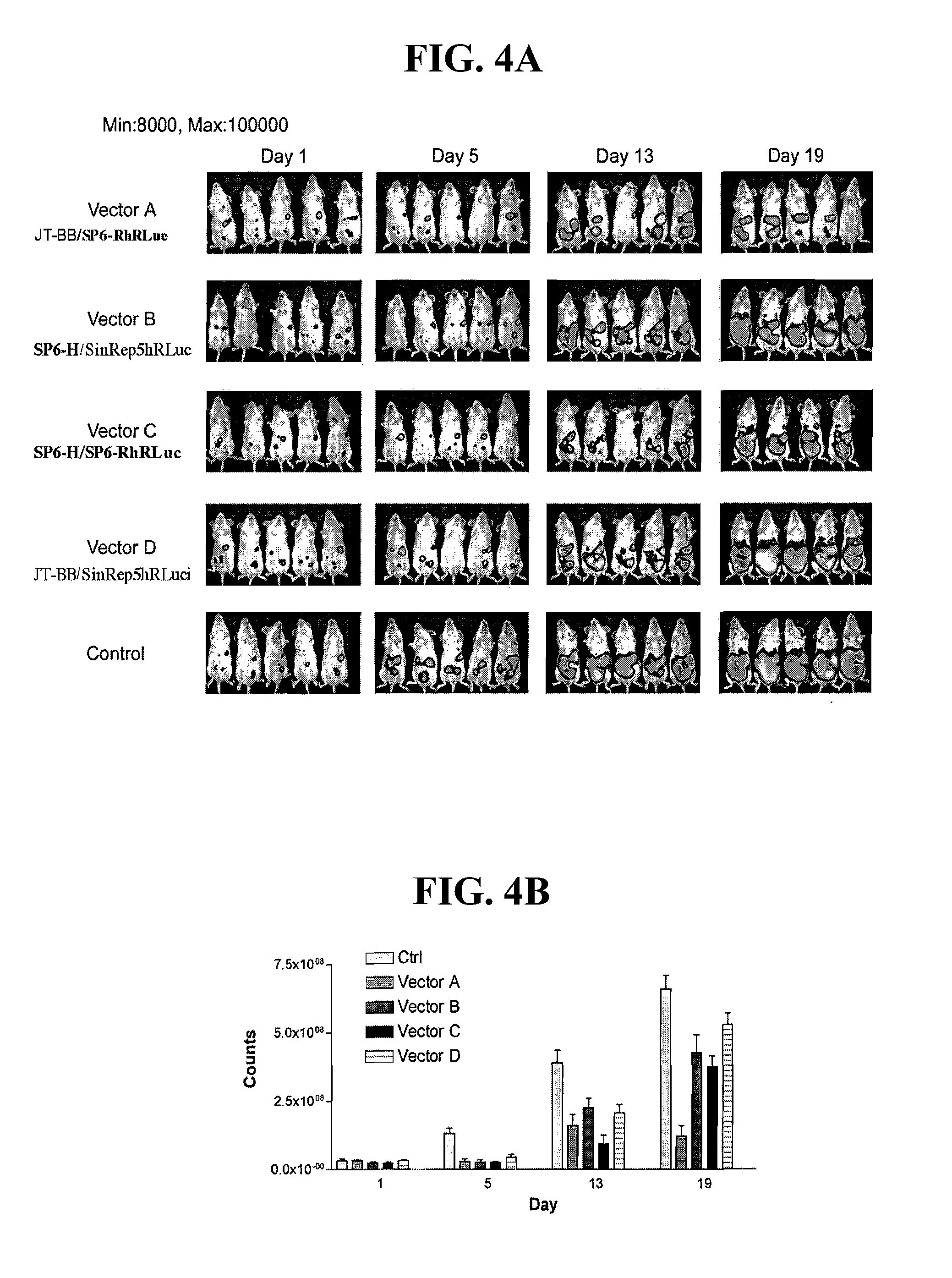 Defective sindbis viral vectors