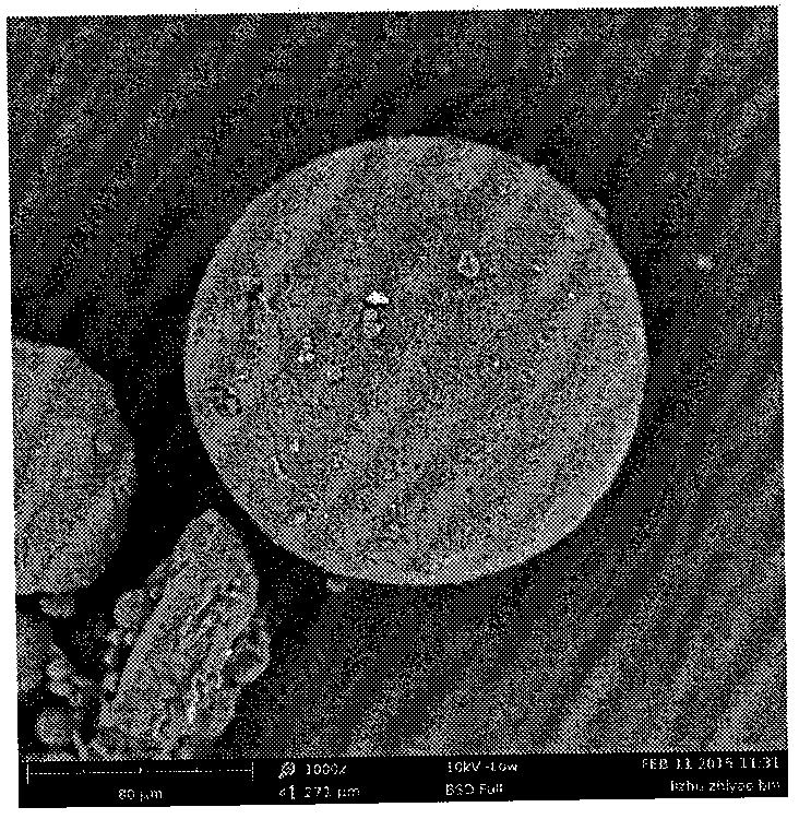 A kind of preparation method of triptorelin acetate sustained-release microspheres