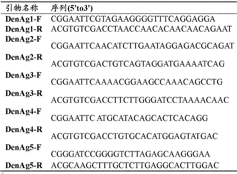 Recombinant antigenic protein for detecting dengue virus antibody, kit and application thereof