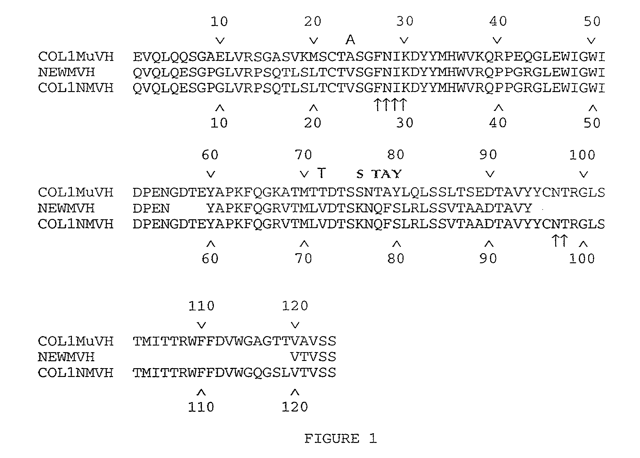 High affinity humanized anit-cea monoclonal antibodies