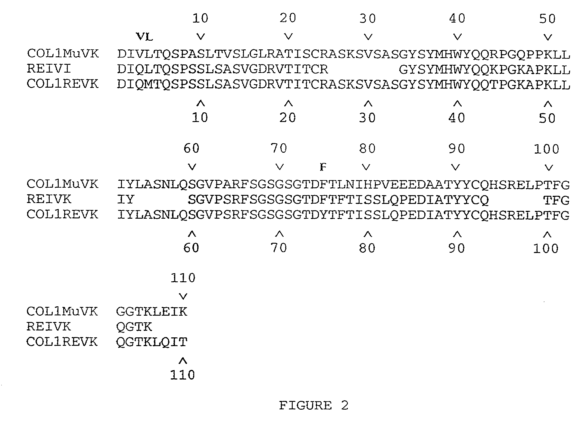 High affinity humanized anit-cea monoclonal antibodies