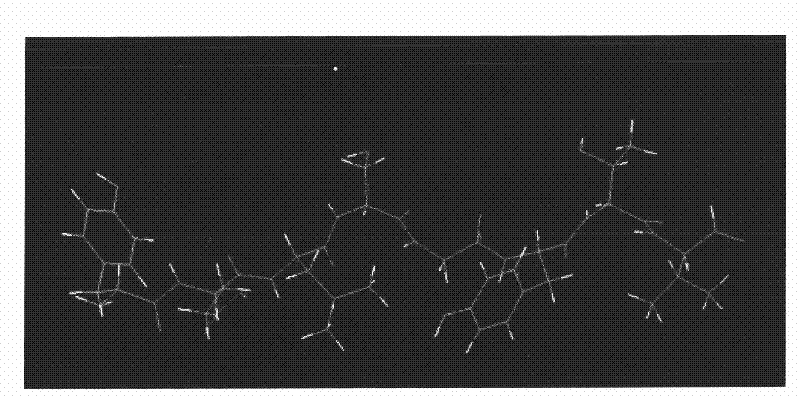 Mouse HCV (hepatitis C virus) polypeptide epitope combined with MHC-I molecule and application thereof