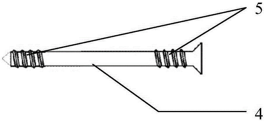 Porous tantalum metal bone connector and application thereof