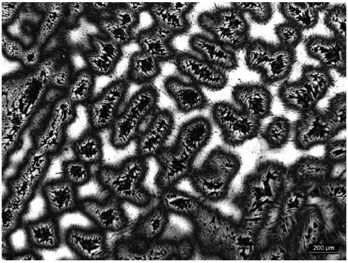 Dendritic crystal corrosive liquid for precipitated reinforced martensitic stainless steel and use method thereof