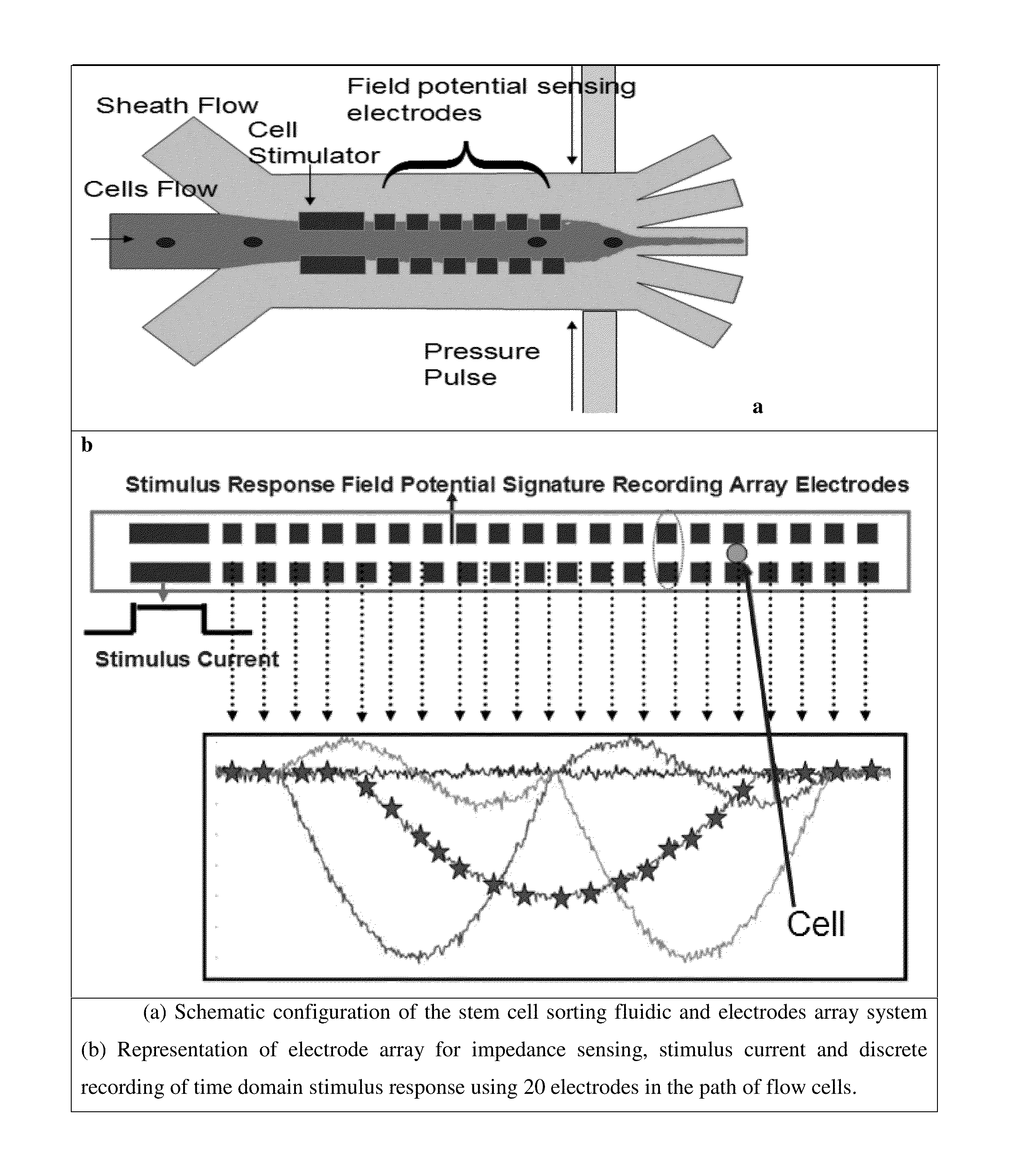 Microfluidic devices and methods for cell sorting, cell culture and cells based diagnostics and therapeutics