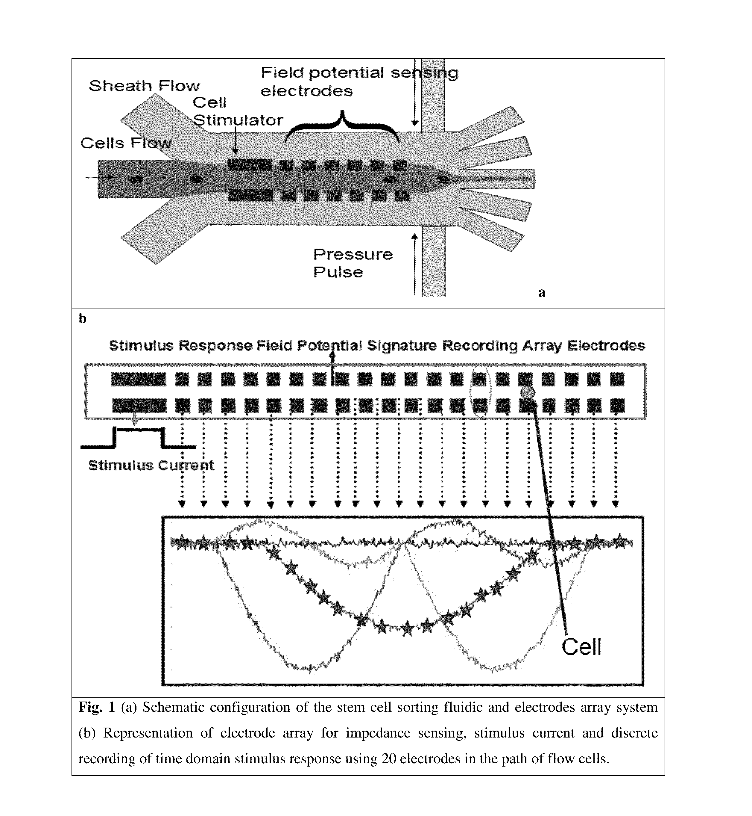 Microfluidic devices and methods for cell sorting, cell culture and cells based diagnostics and therapeutics