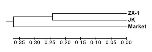 Specific primers for microsatellite markers of EST sequences of Litopenaeus vannamei and application thereof