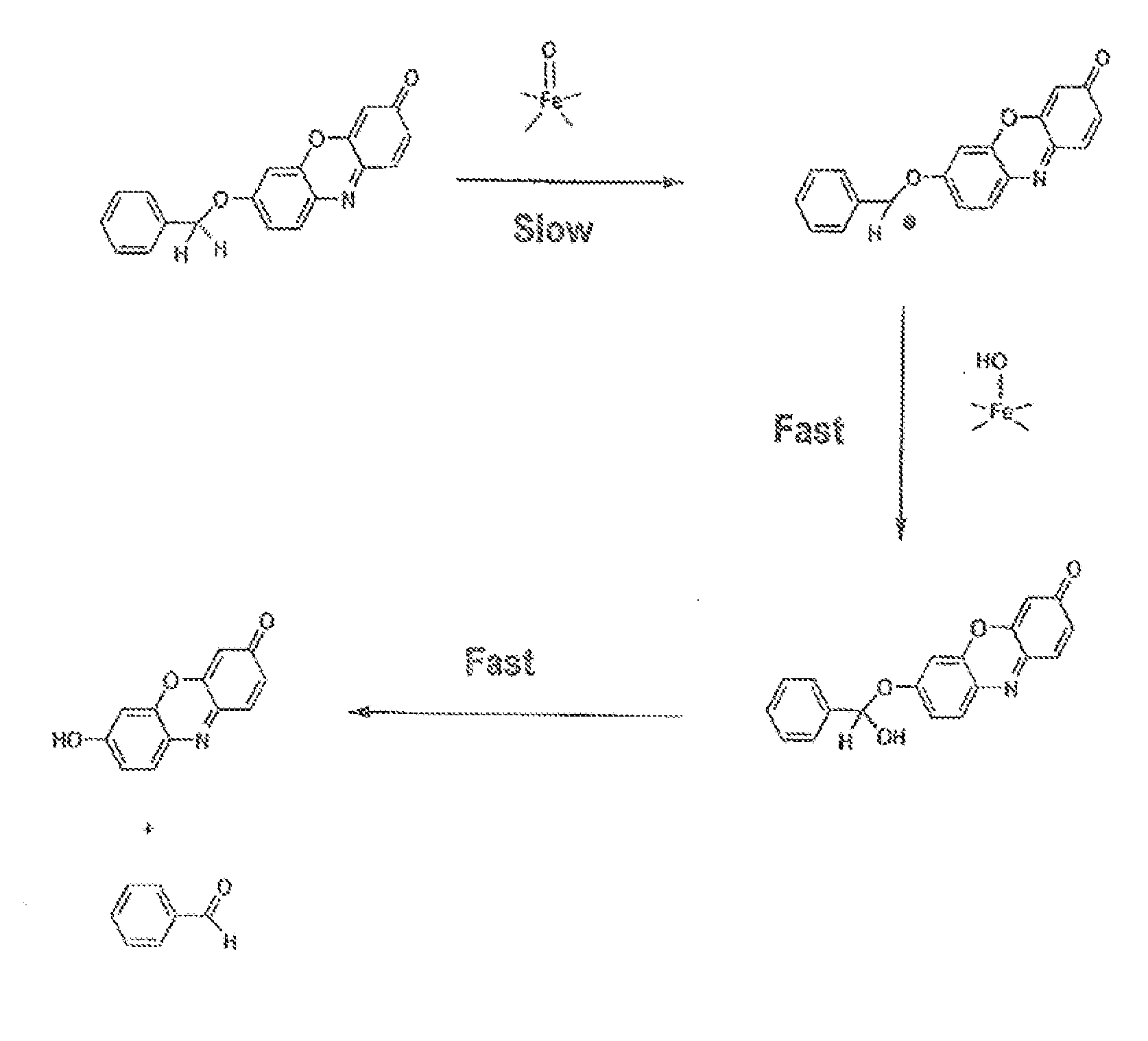 Optical Molecular Sensors for Cytochrome P450 Activity