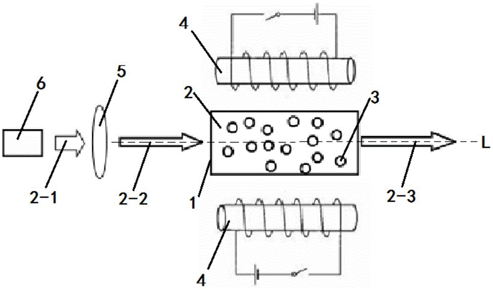 A switchable liquid random laser doped with magnetic nanoparticles