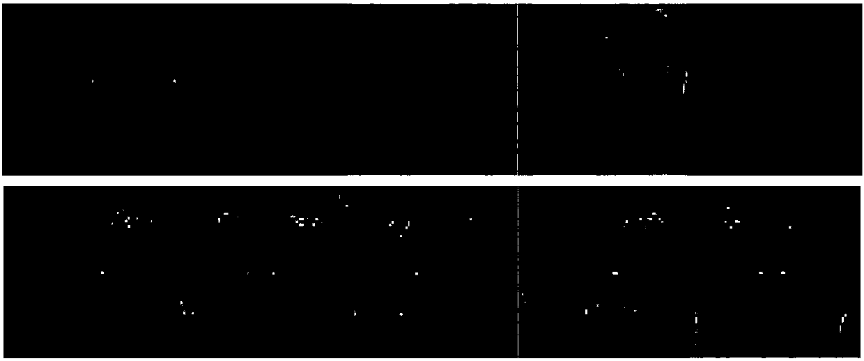 Method of face illumination invariant feature extraction based on smoothing filtering