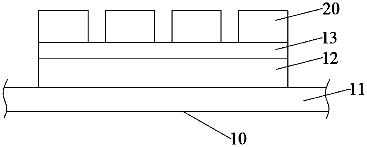 Huge transfer carrier plate, huge transfer device and huge transfer method