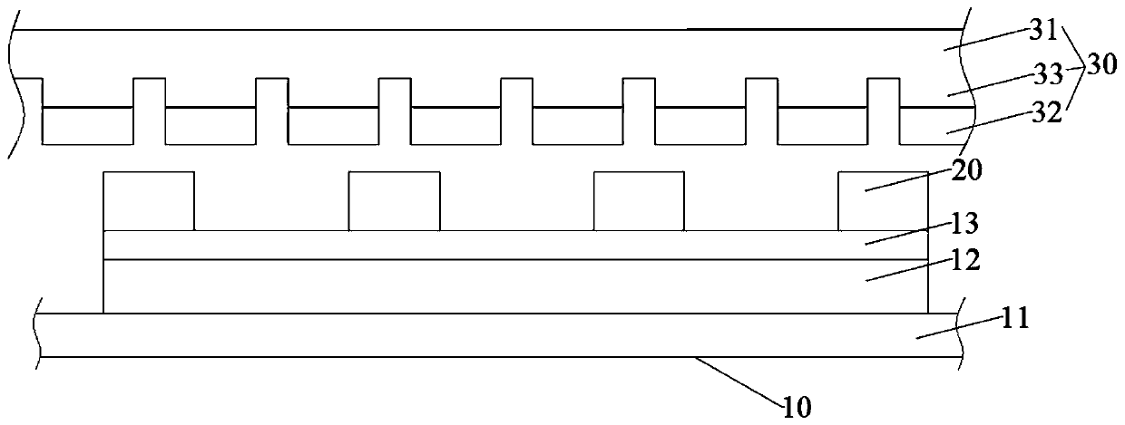 Huge transfer carrier plate, huge transfer device and huge transfer method