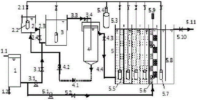 Low-energy-consumption municipal sewage nitrogen removal method based on enhanced carbon capture and anaerobic ammonia oxidation