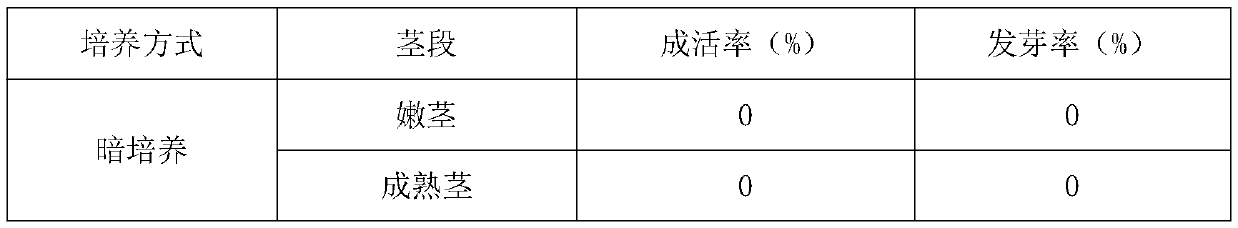 Method for rapidly breeding and preserving germplasm resources of Chinese yams