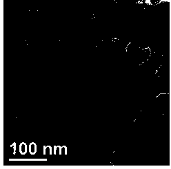 Per-oxidized poly(3,4-ethylenedioxythiophene-graphite oxide (PEDOT/GO) modified electrode and electrochemical detection method thereof to pesticide imidacloprid