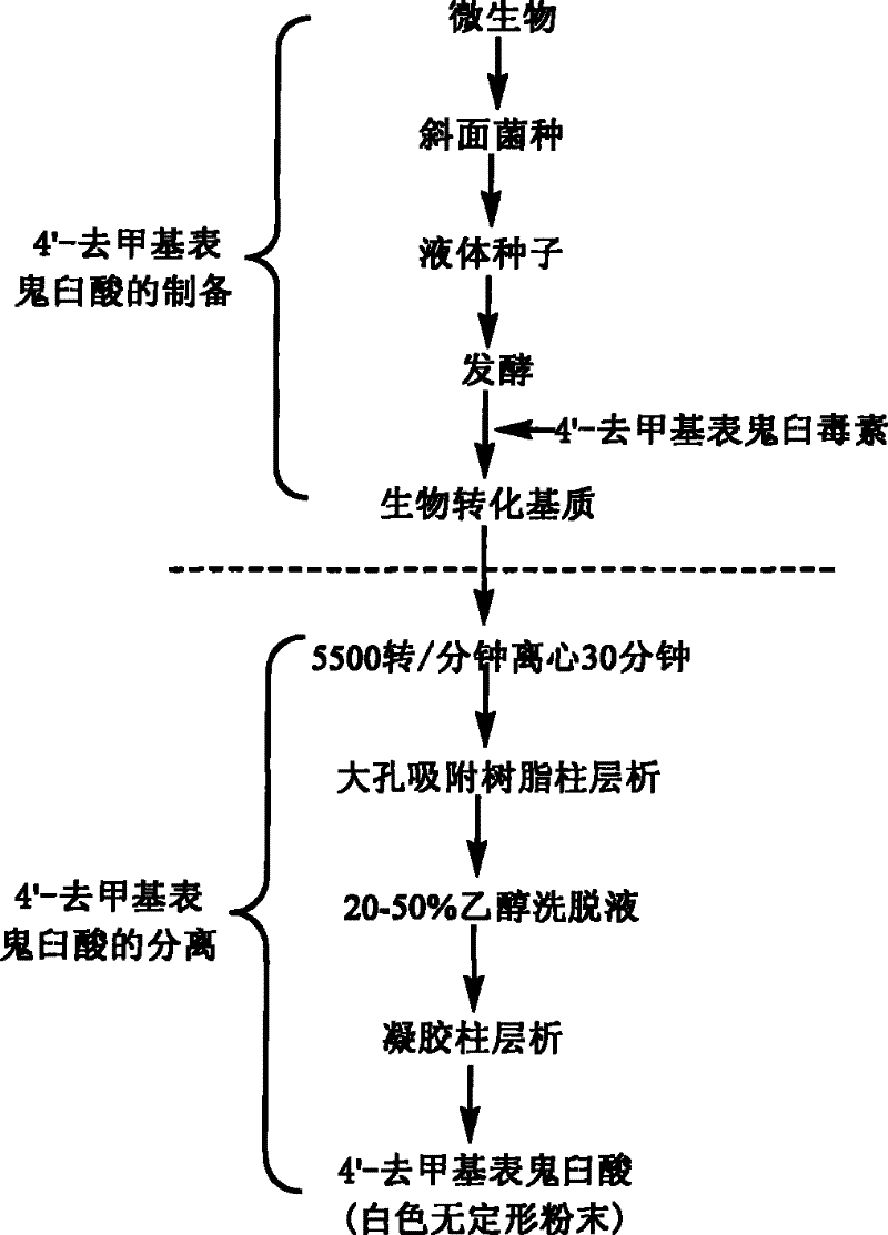 Process for the separation and preparation of 4'-demethyl podophyllic acid