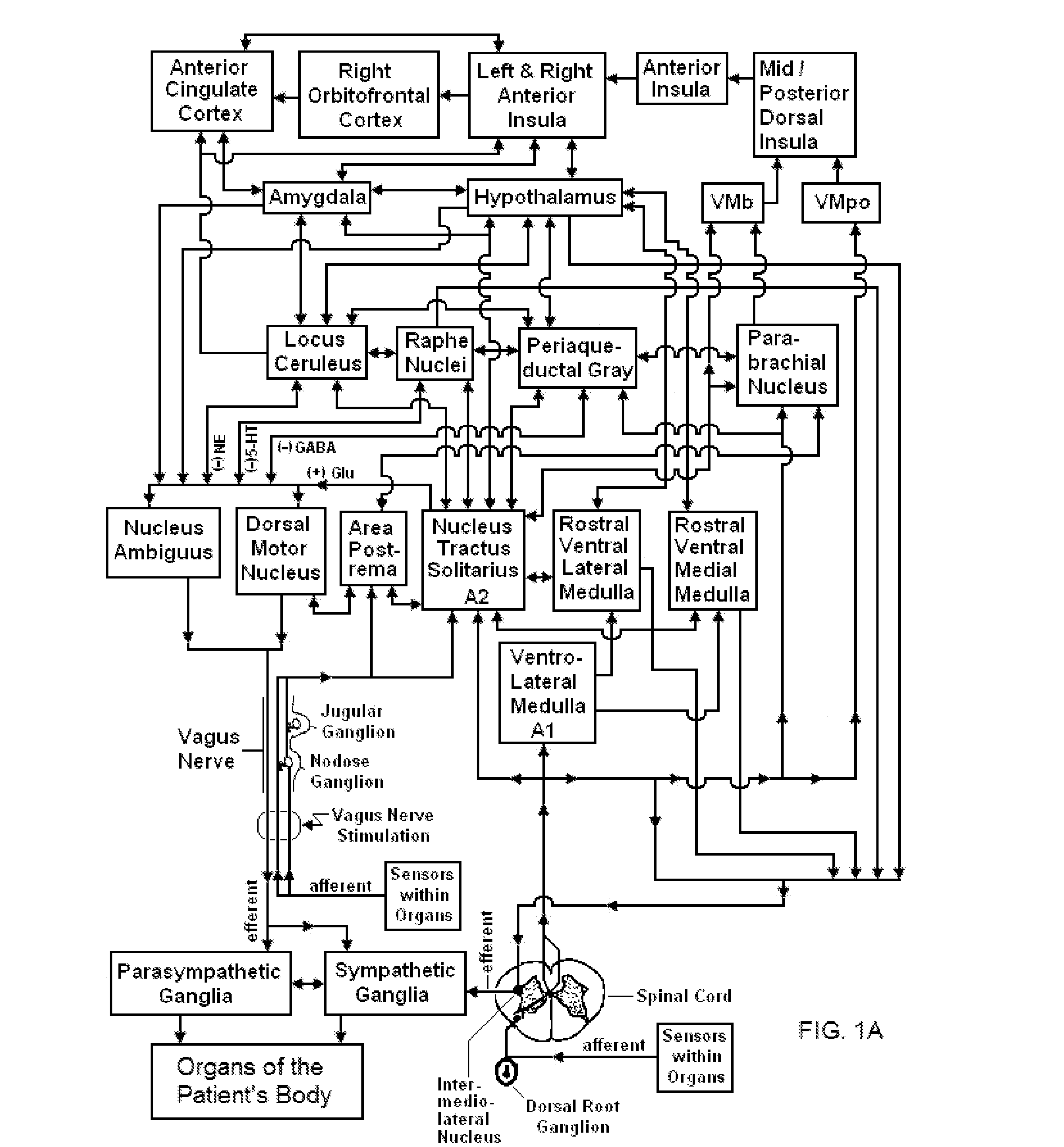 Mobile phone for treating a patient with seizures