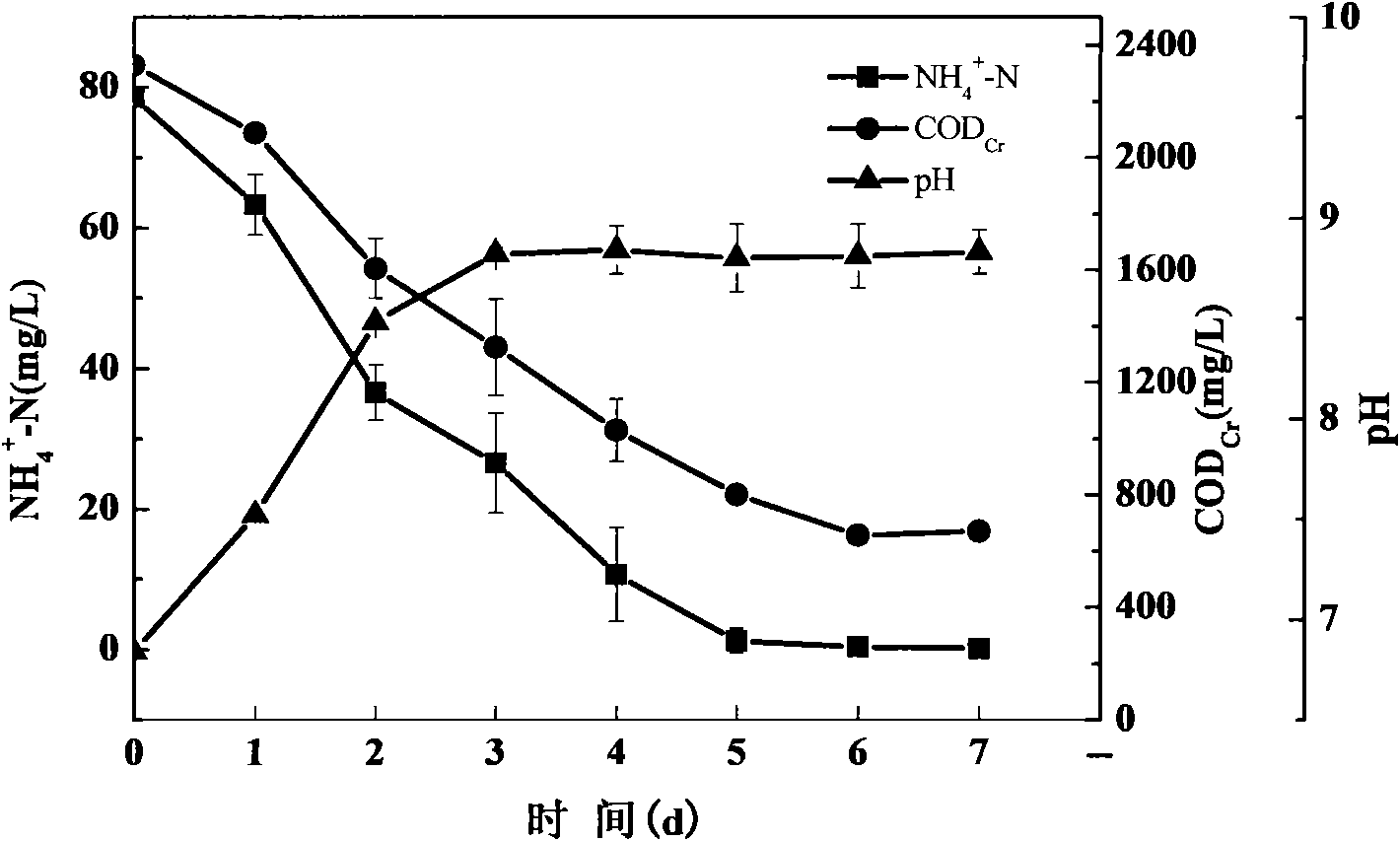 Verdigris pseudomonas aeruginosa strain denitrified under different dissolved oxygen conditions and application thereof