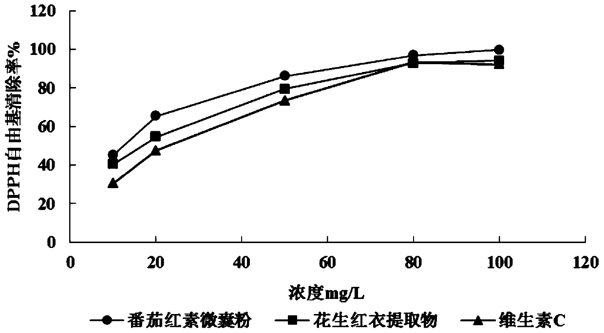 Lycopene composition solid beverage and preparation method thereof