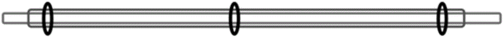 Separation method of mouse intestinal lamina propria primary dendritic cells