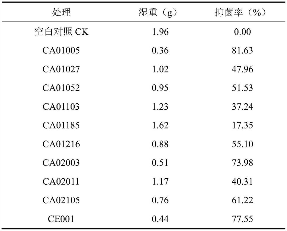 A kind of composite biological preparation and application thereof for controlling aflatoxin b1