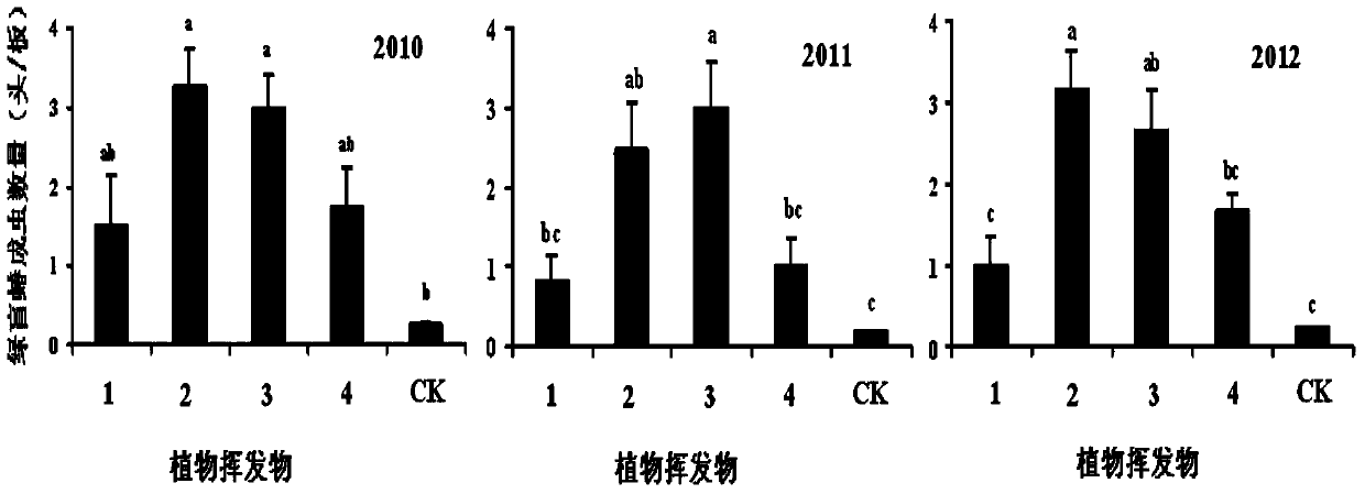 Plant source attractant composition for adult green plant bugs and application thereof