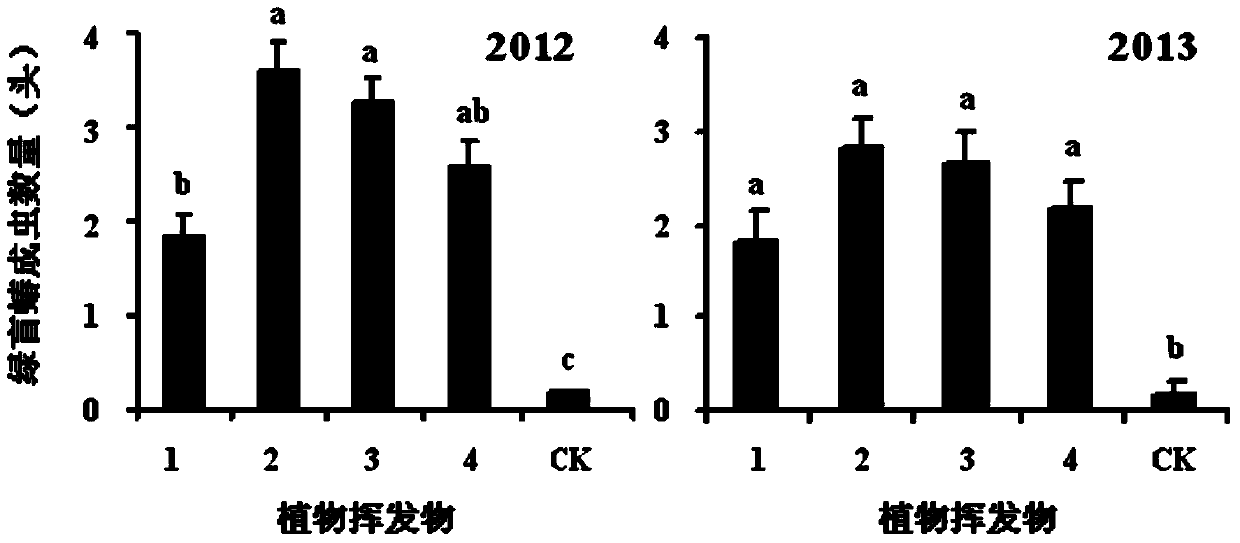 Plant source attractant composition for adult green plant bugs and application thereof