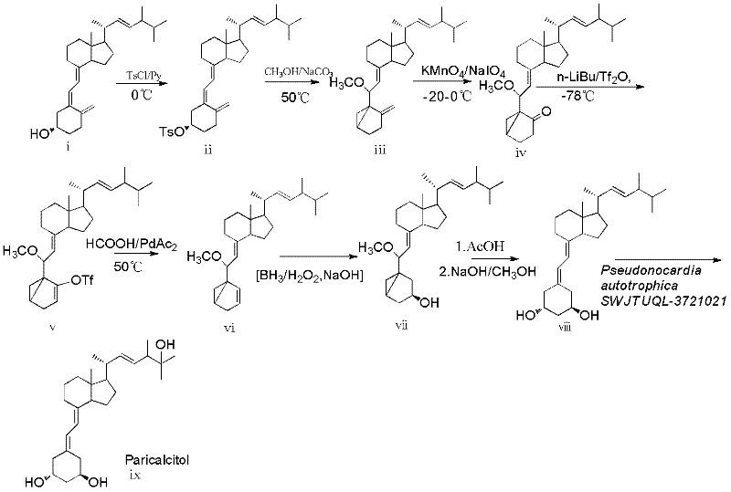 Method for preparing paricalcitol