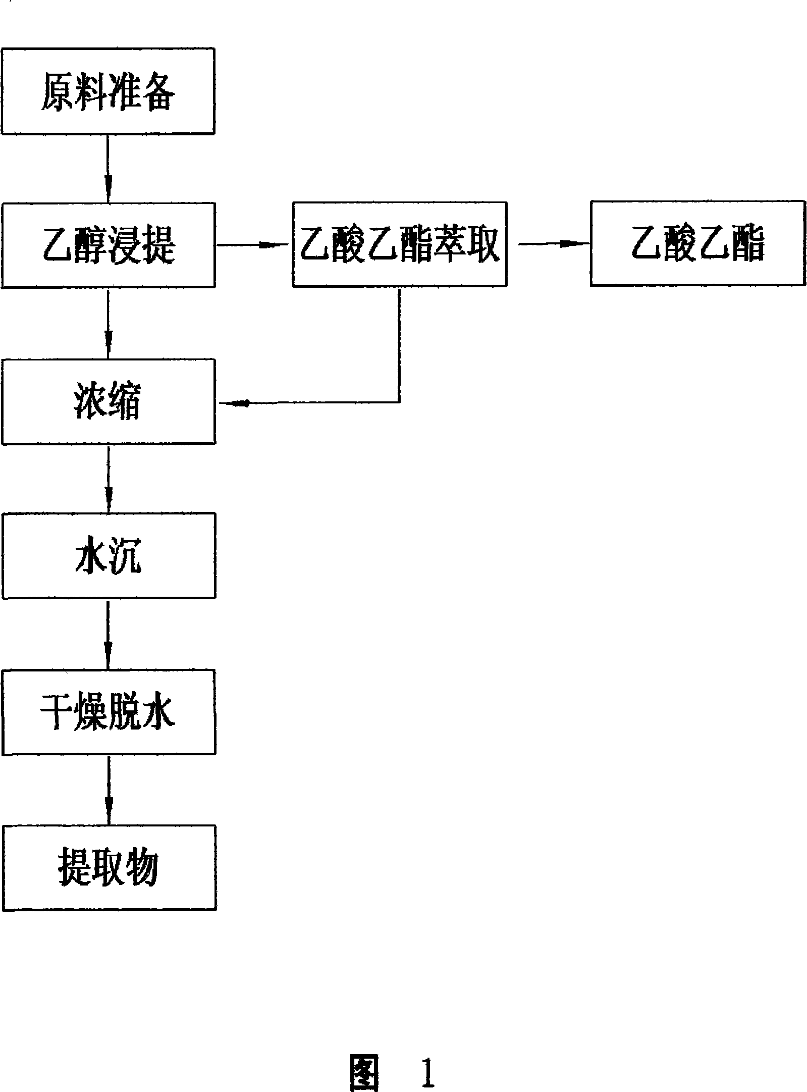 Composition extracted from tubiflorae cistanche salsa, use thereof and method of extracting the same