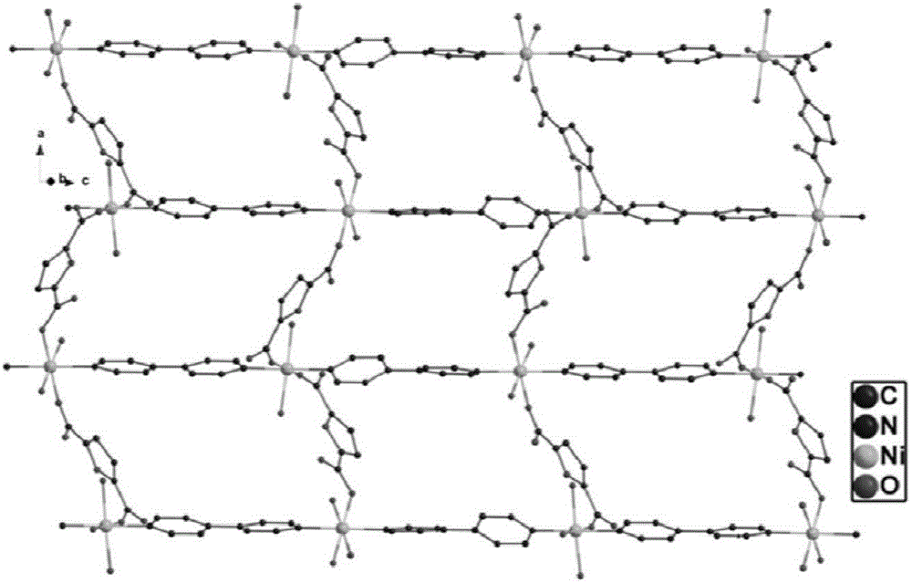 Binuclear metal organic complex based on nickel (II) and preparation method thereof