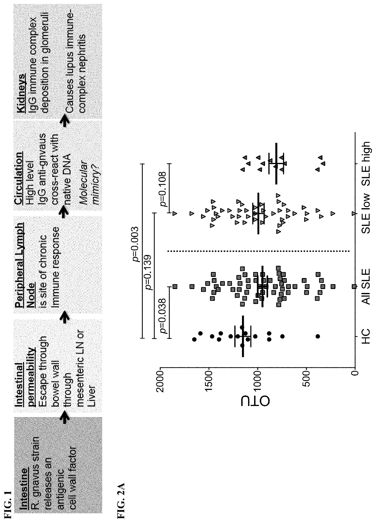 Methods and compositions for treating and diagnosing autoimmune diseases