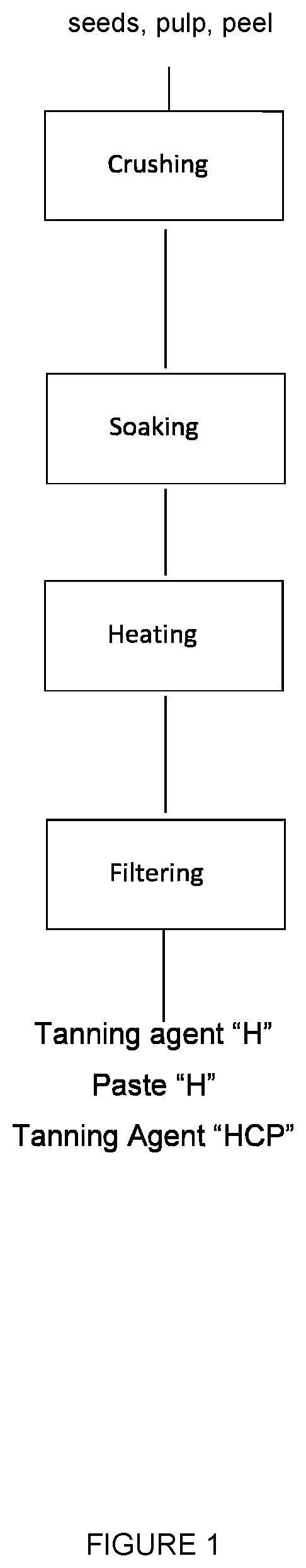 Method for producing sustainable leather using by-products from parts of all varieties and species of the genus persea plant including among them both the american species and the hass variety as well