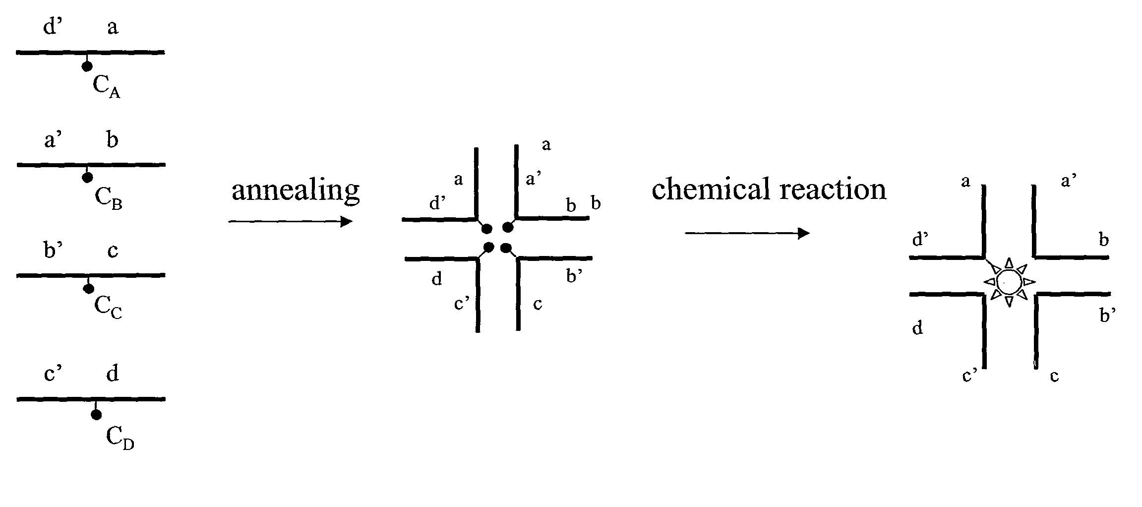 Structural nucleic acid guided chemical synthesis