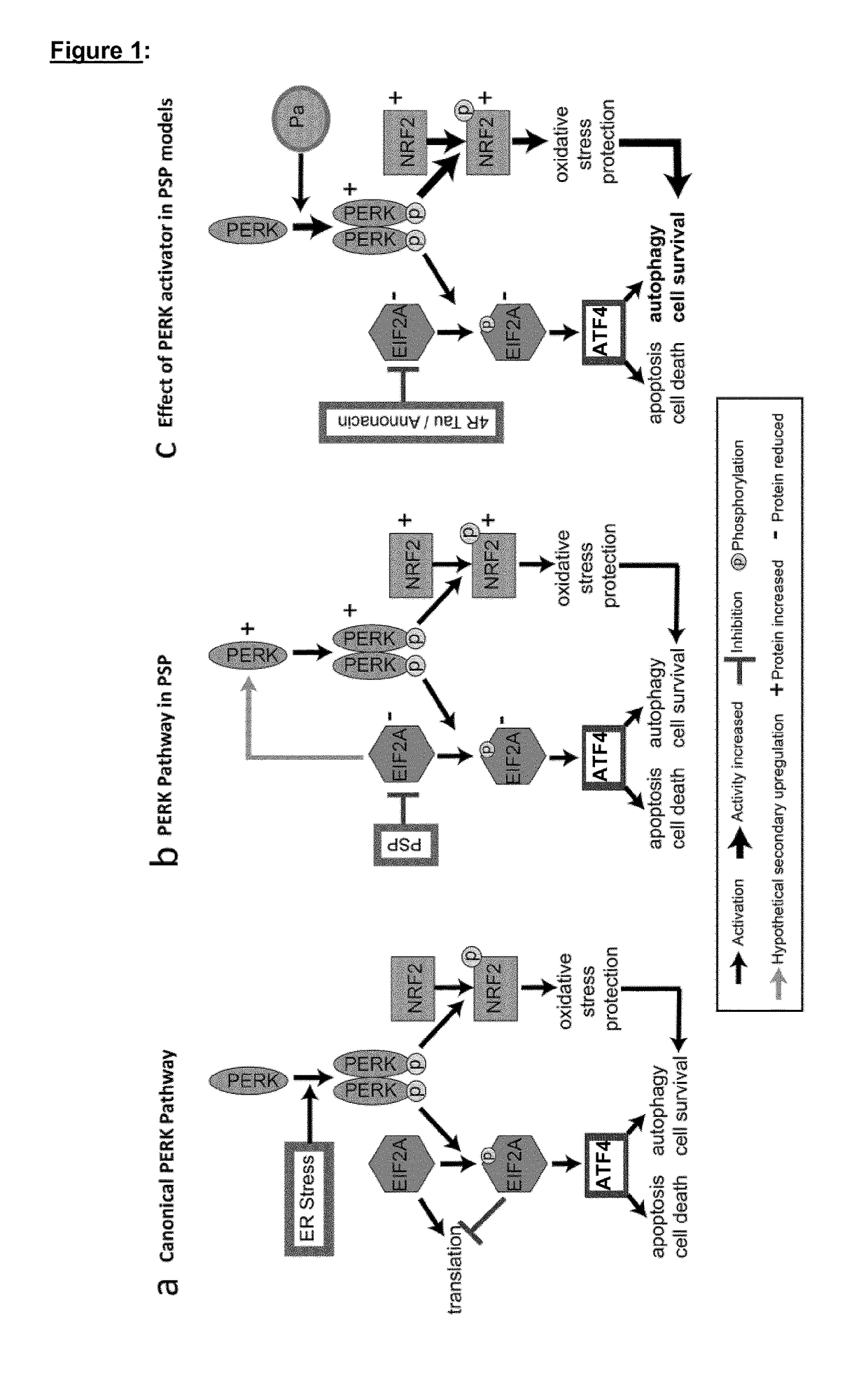 Perk activator for the treatment of neurodegenerative diseases