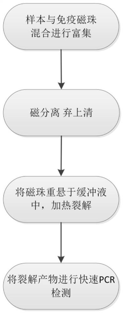 Multiple enrichment detection method for influenza A, influenza B and respiratory syncytial virus